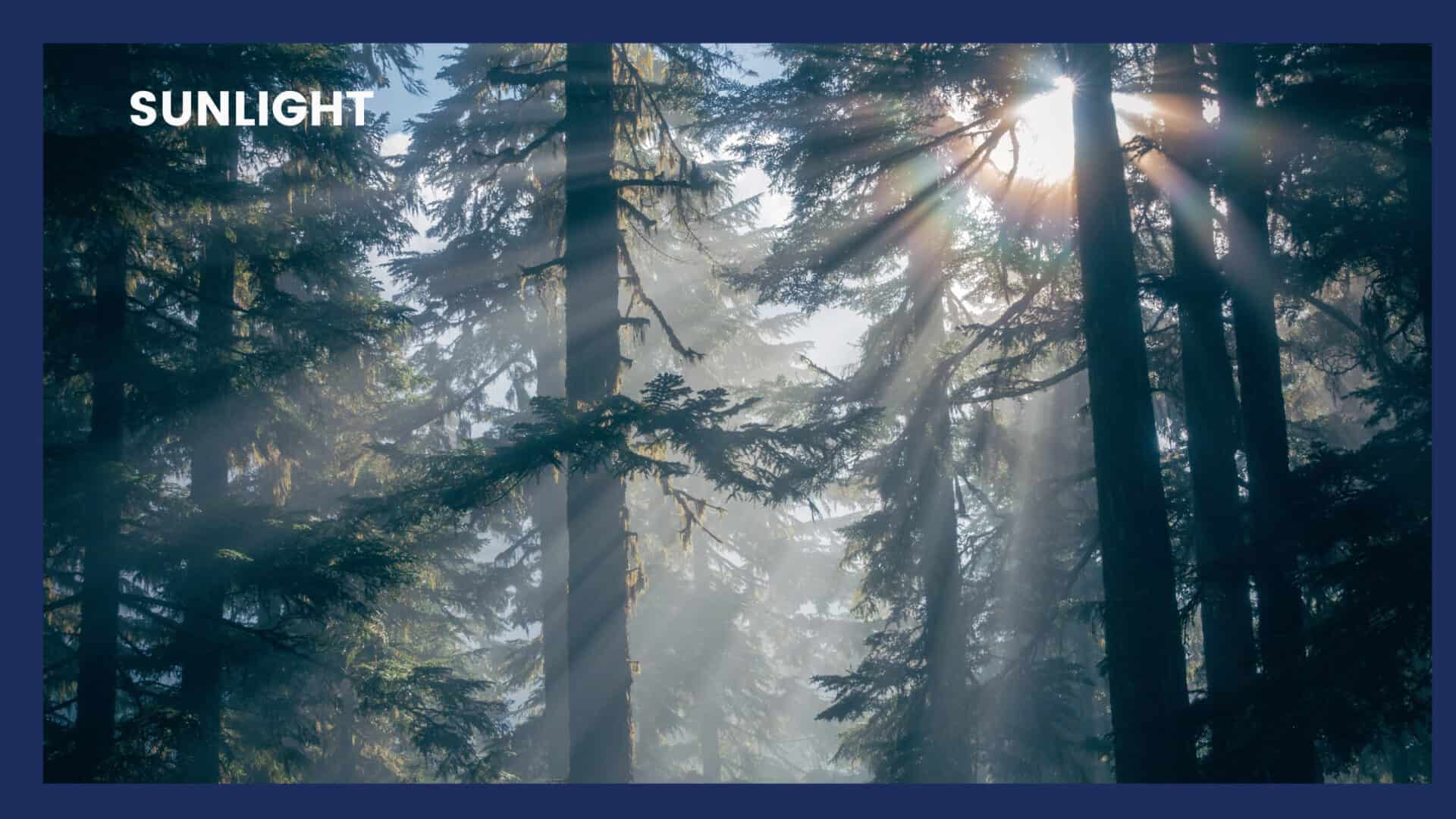 How to Charge Rose Quartz? Clean Your Crystals