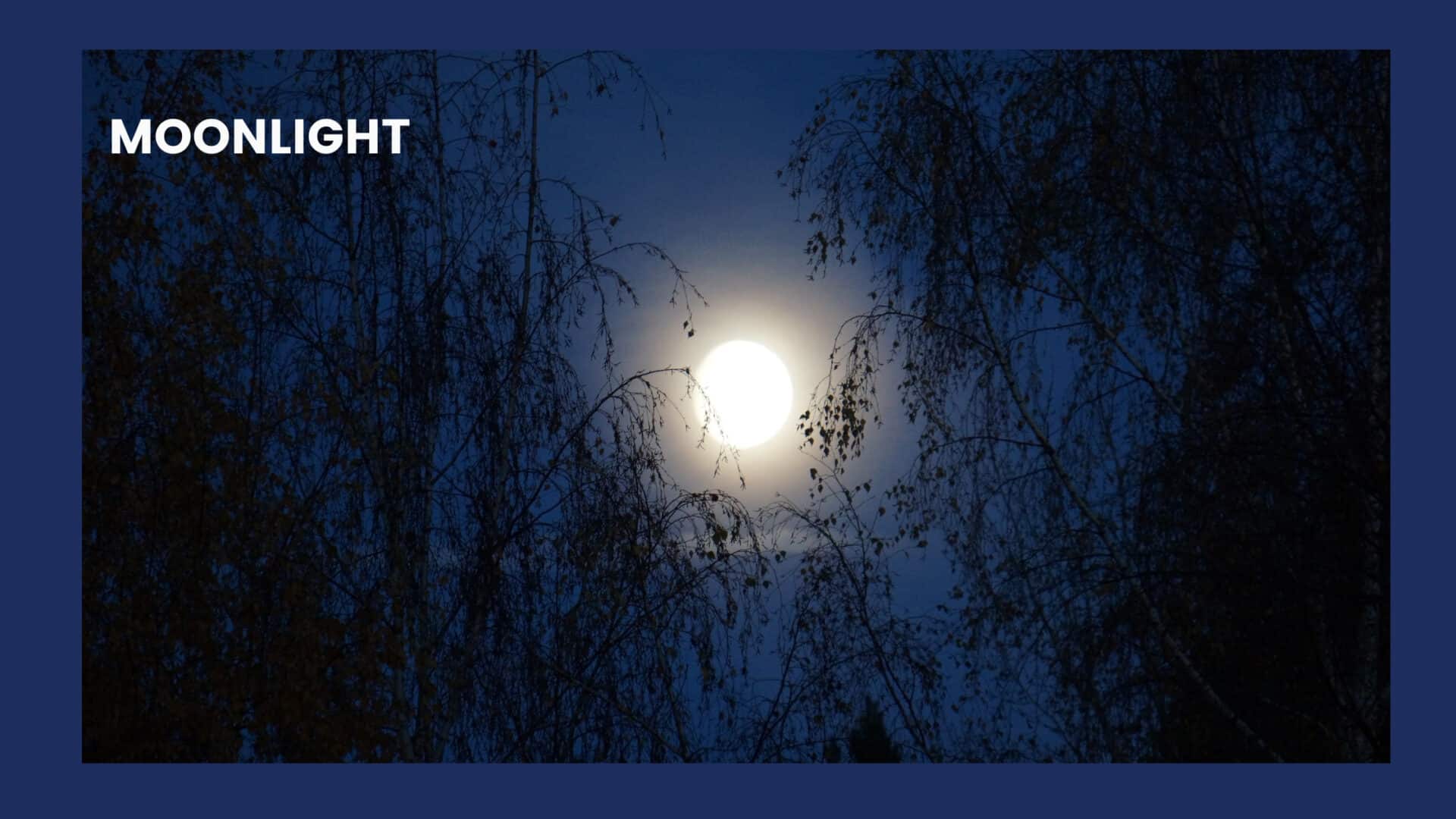 How to Charge Rose Quartz? Clean Your Crystals