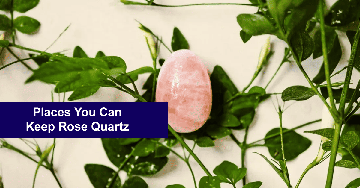 Where to Keep Rose Quartz 9 Places to Keep it Safely