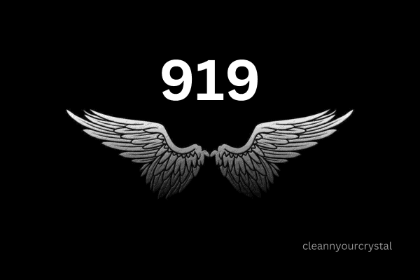 what does Angel Number 919 mean