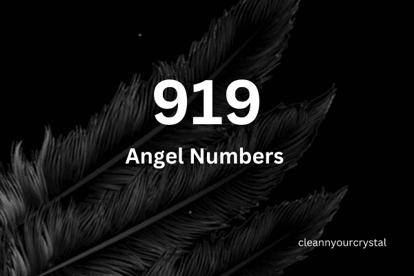 Angel Number 919 Meaning in Finance and Money