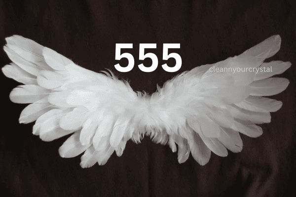 Angel Number 555 Meaning in Twin Flame
