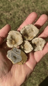 Method to Cleanse Geode