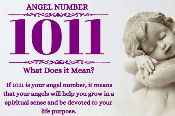 Angel Number 1011 Numerology and Significance
