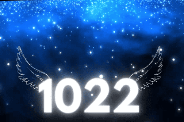 Angel Number 1022 Meaning when Shifting Reality