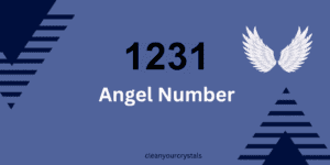 1231 angel number meaning