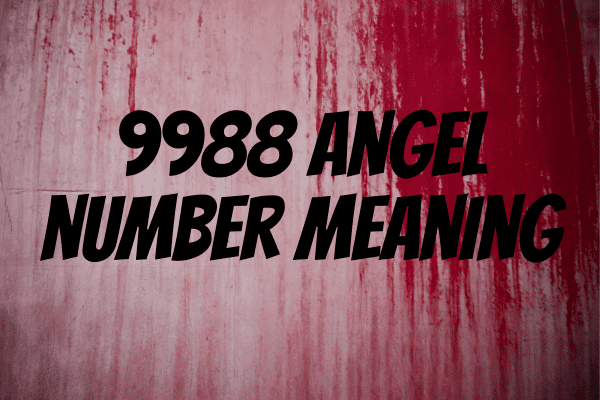 9988 angel number meaning