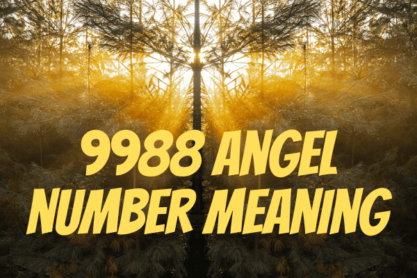 9988 angel number meaning